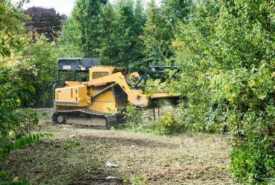 Easement Land Clearing in Houston, TX