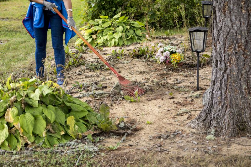 Pasture Clearing in Atlanta, GA