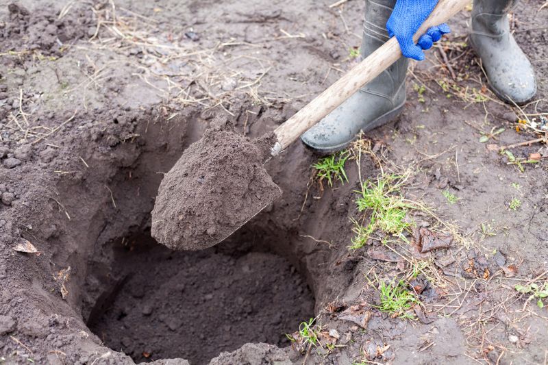 Cost-Effective Service