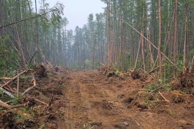 Commercial Land Clearing in Houston, TX